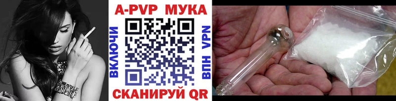 Альфа ПВП СК  Чайковский 